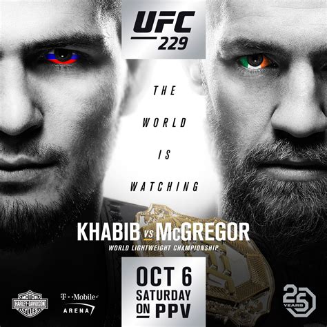 bet365 ufc 229